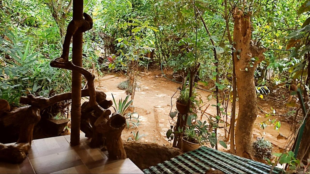 Thirunelly Koomankolly Resort מראה חיצוני תמונה