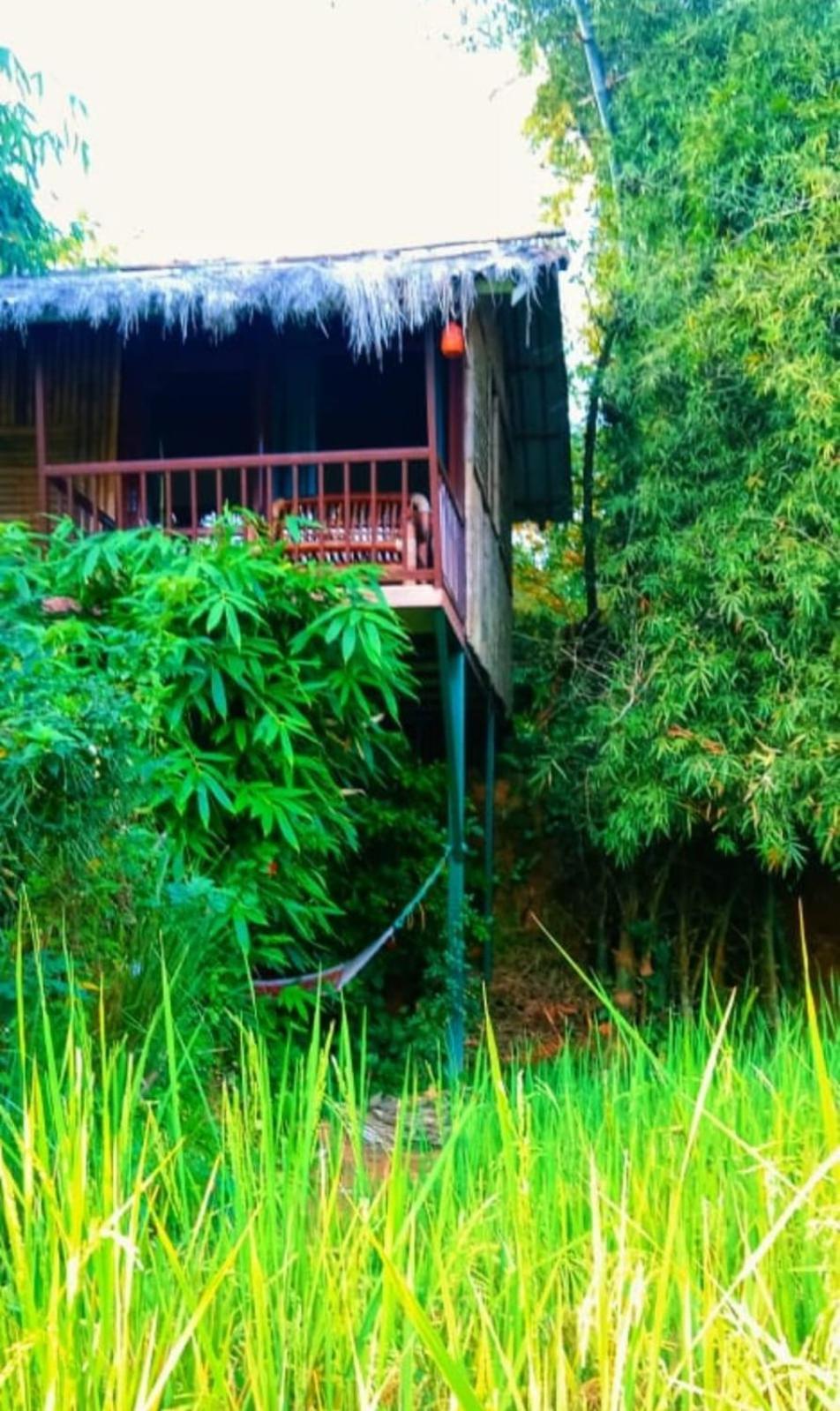 Thirunelly Koomankolly Resort מראה חיצוני תמונה