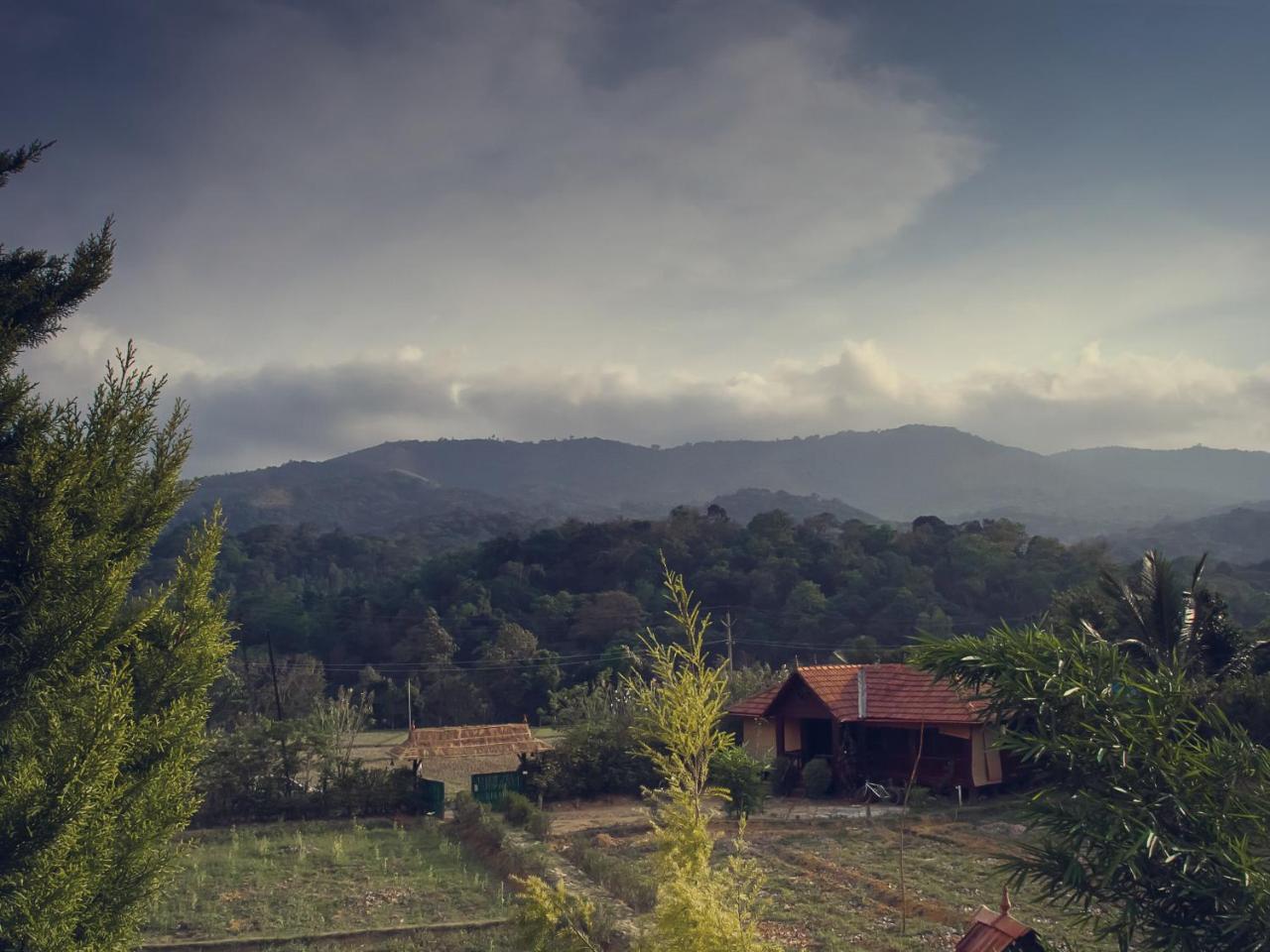 Thirunelly Koomankolly Resort מראה חיצוני תמונה