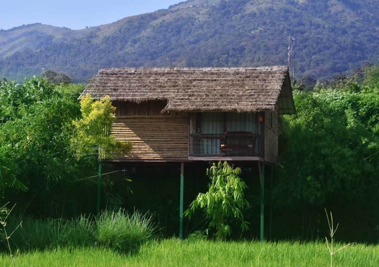 Thirunelly Koomankolly Resort מראה חיצוני תמונה
