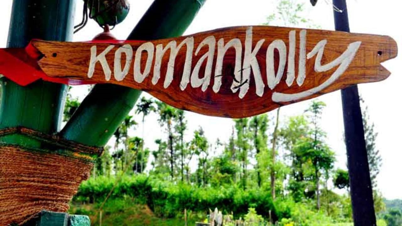 Thirunelly Koomankolly Resort מראה חיצוני תמונה
